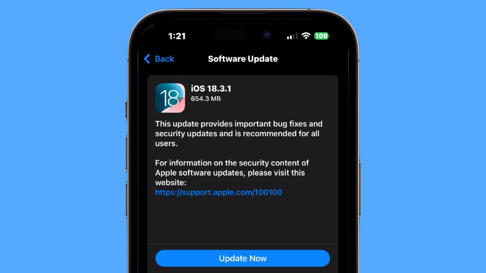 iOS 18.3.1