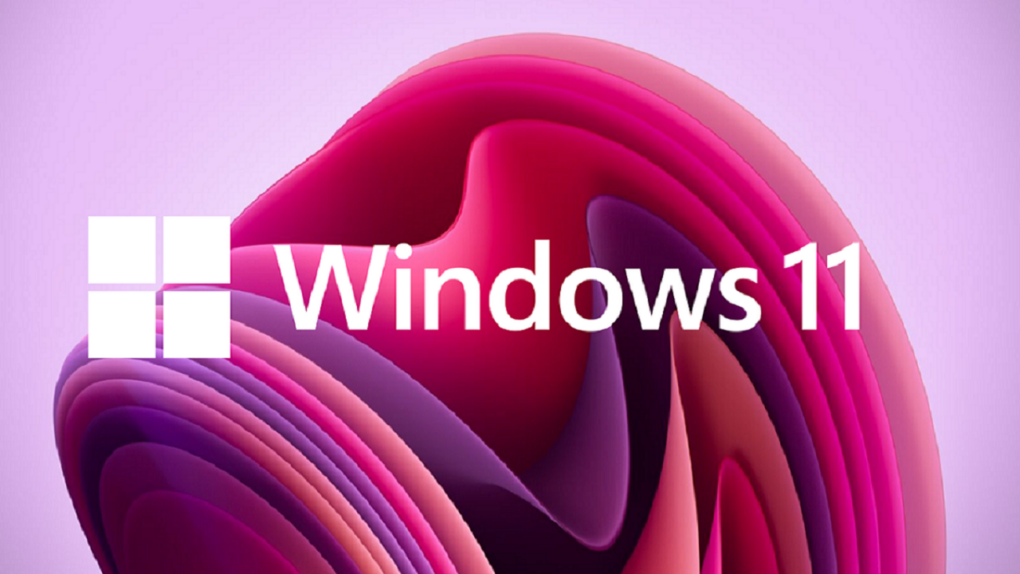 Windows CD keys